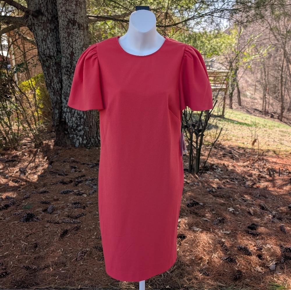 Carlisle Collection Women's Coral Basque Midi Flutter Sleeve Shift Dress Size 6